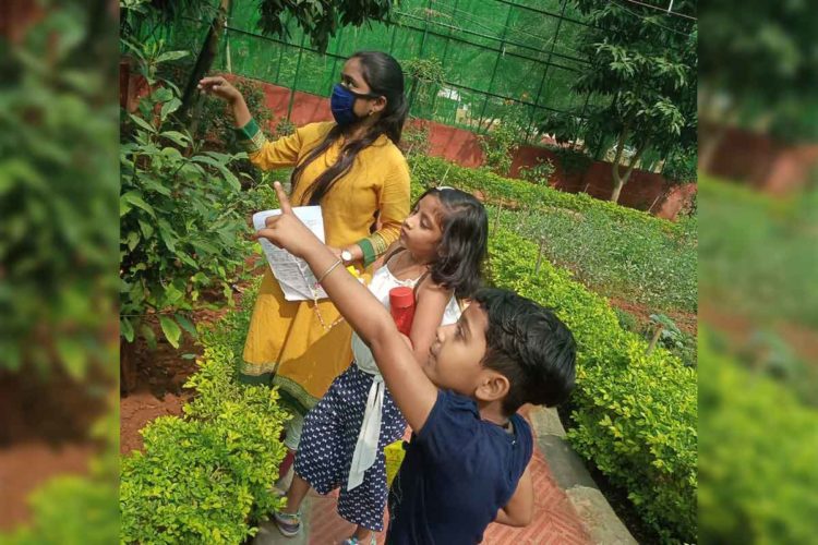 All you need to know about the Butterfly Walk Series at Vizag Zoo