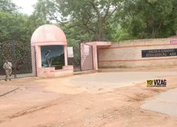 Vizag zoo authorities step up vigil amid bird flu outbreak