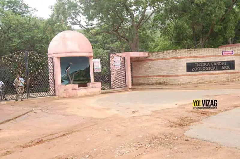 Vizag zoo authorities step up vigil amid bird flu outbreak
