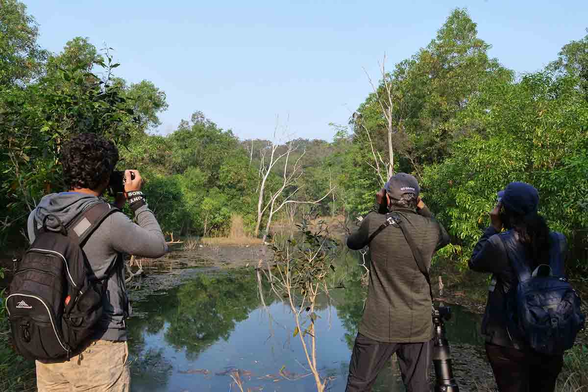 Great Backyard Bird Count: From Ruffs to Pied Harriers, 134 species recorded in Vizag
