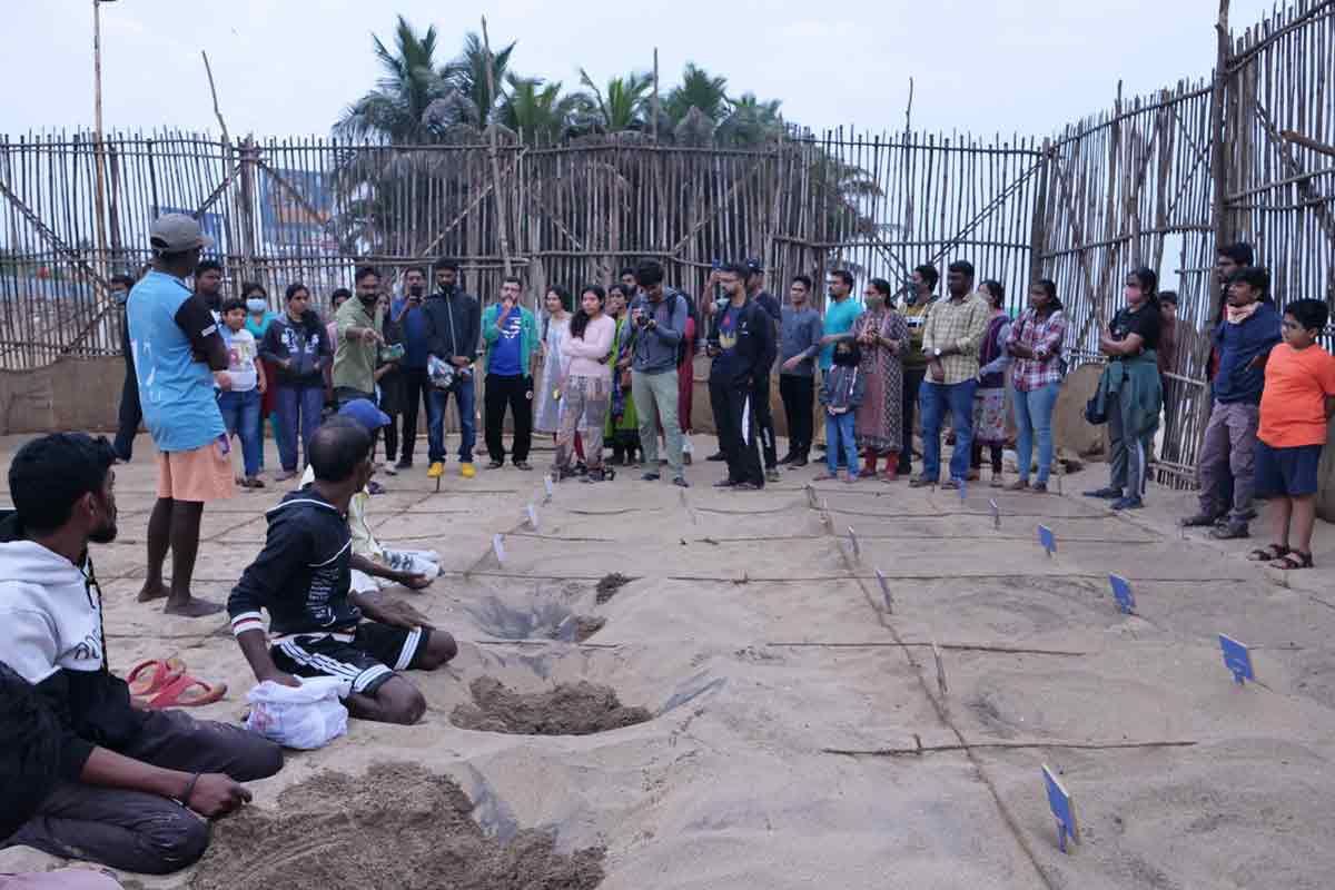 Vizag citizens walk for the conservation of Olive Ridley turtles