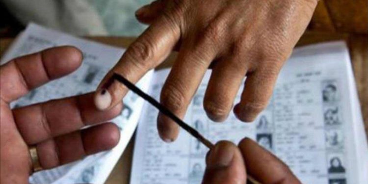 Andhra Pradesh Municipal Elections: Complete list of elected mayors 