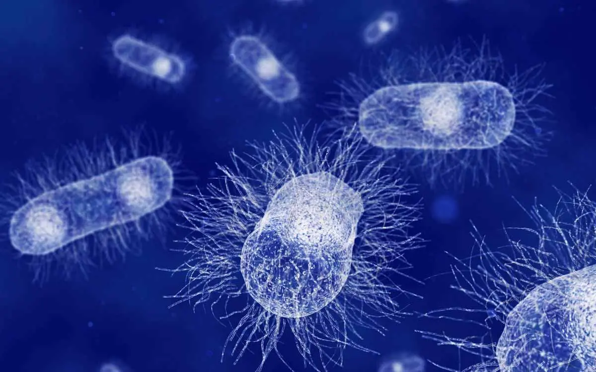 Death of a woman in Visakhapatnam due to suspected Black Fungus