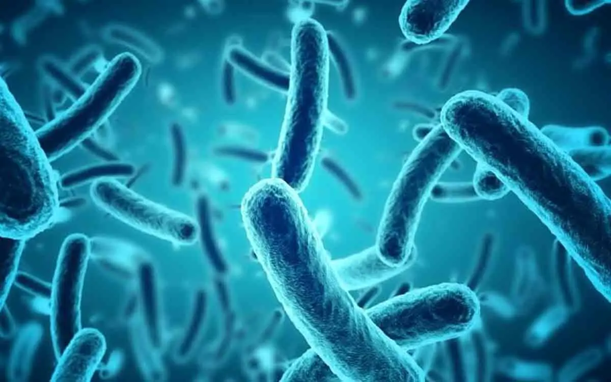 Black Fungus continues to worry recovered Covid-19 patients in Vizag