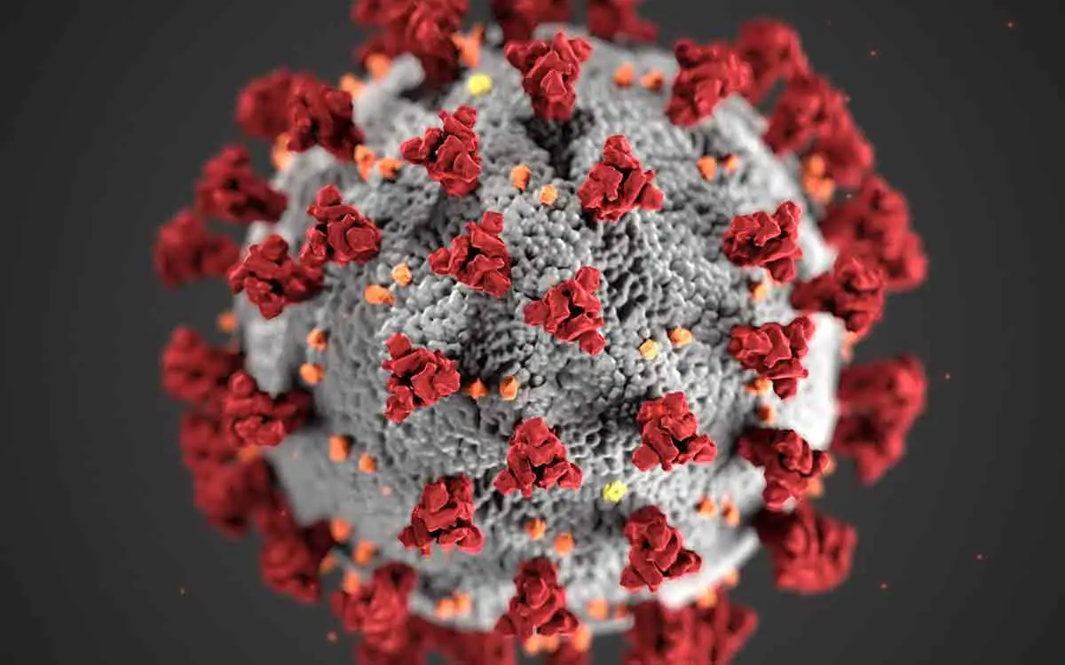 Is the new mutant of Covid-19 virus worsening patients' condition in Vizag?