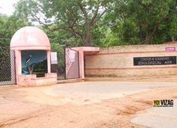 Indira Gandhi Zoo in Vizag to undergo 6 major renovations