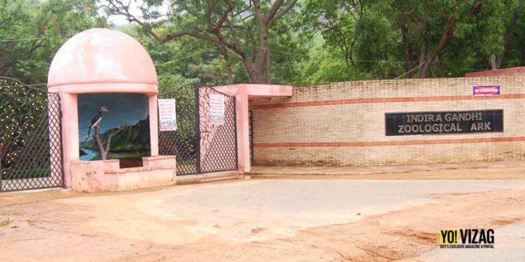 Indira Gandhi Zoo in Vizag to undergo 6 major renovations