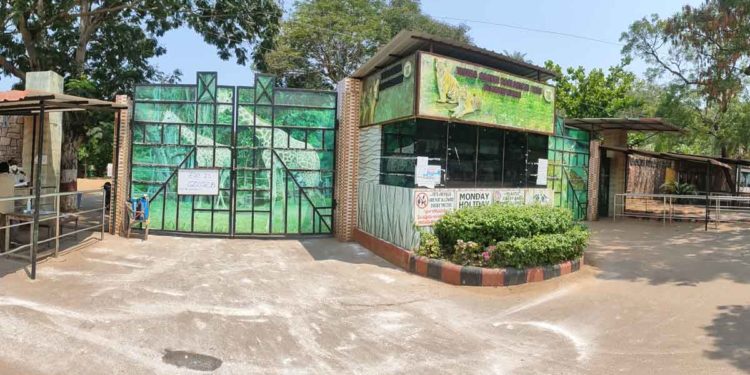 5 unique facts about the Indira Gandhi Zoo in Vizag that you must know