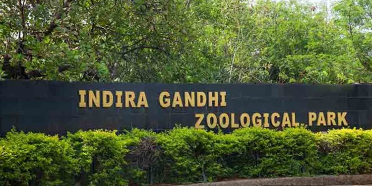 Vizag Zoo to conduct a Virtual Summer Camp for children