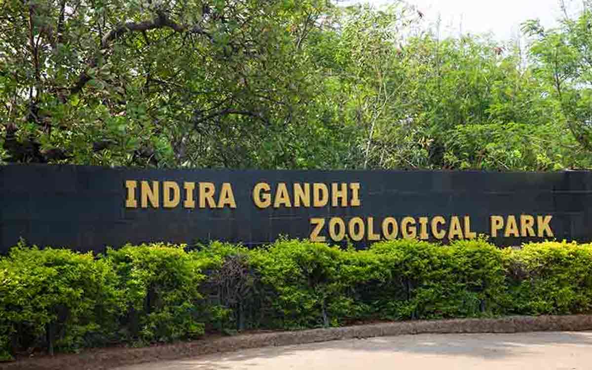 Vizag Zoo to conduct a Virtual Summer Camp for children