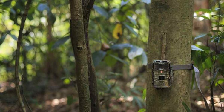 Camera trapping to be practised at Kambalakonda Eco Tourism Park