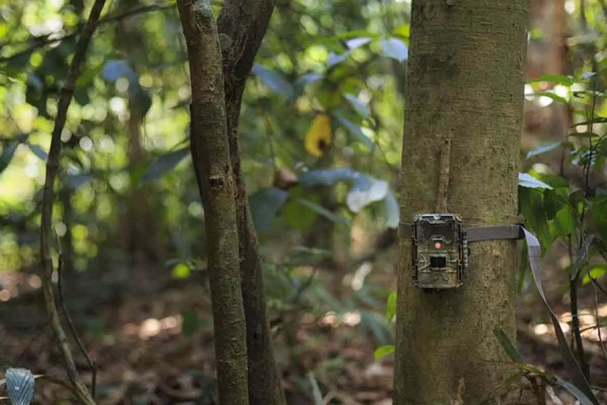 Camera trapping to be practised at Kambalakonda Eco Tourism Park