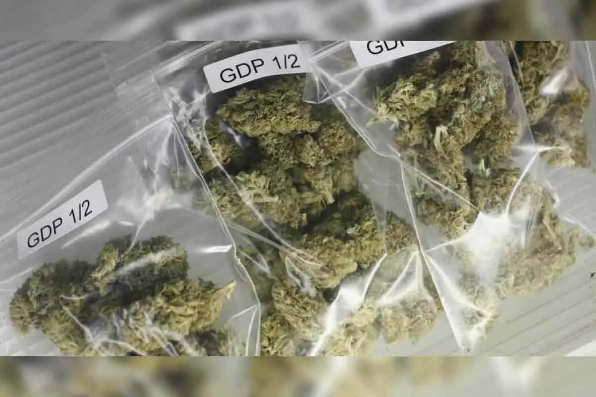 3 arrested in Visakhapatnam District for smuggling 450 kg ganja