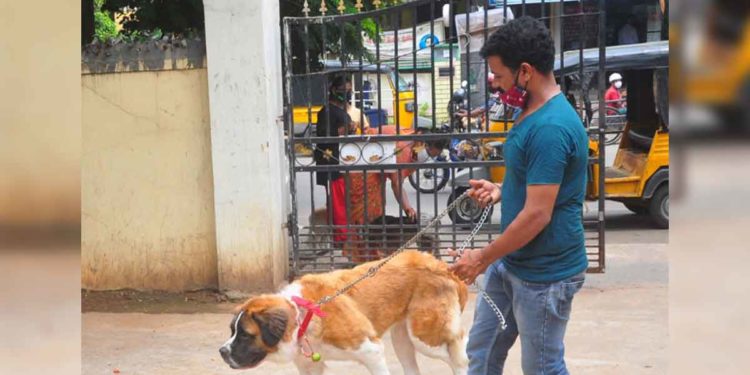 World Zoonoses Day: The importance of hygienic pet care in Vizag