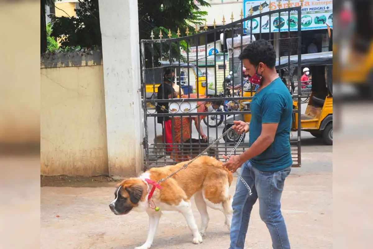 World Zoonoses Day: The importance of hygienic pet care in Vizag