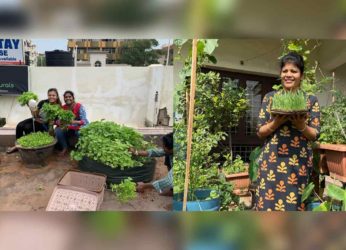 Terrace Gardening: The new favourite hobby of Visakhapatnam