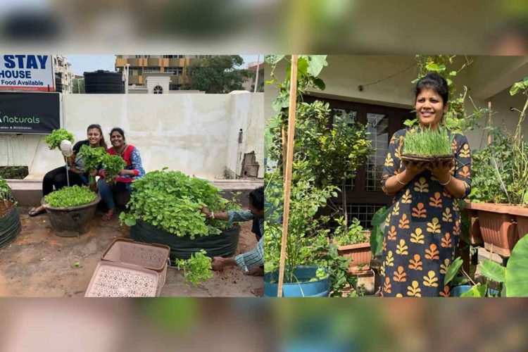 Terrace Gardening: The new favourite hobby of Visakhapatnam