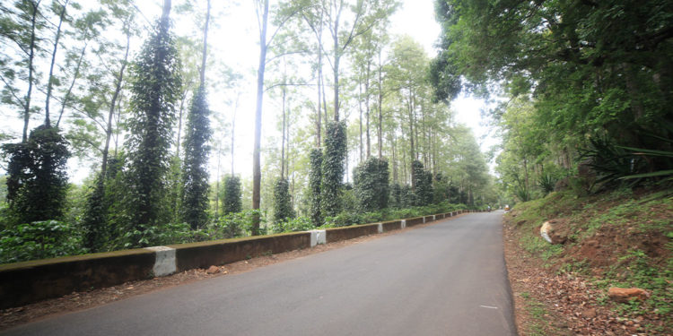 NH-516E to be developed as Green Highways in Araku Valley