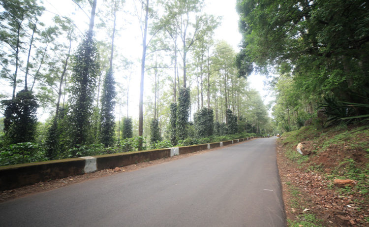 NH-516E to be developed as Green Highways in Araku Valley