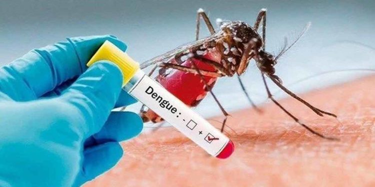 Dengue cases on the rise in Vizag; children in the city need to be alert