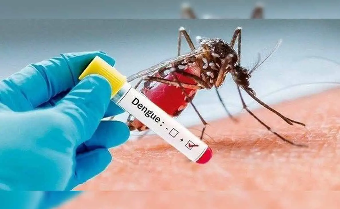 Dengue cases on the rise in Vizag; children in the city need to be alert