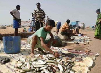 Ban on sale of fish by vendors on footpaths in Vizag