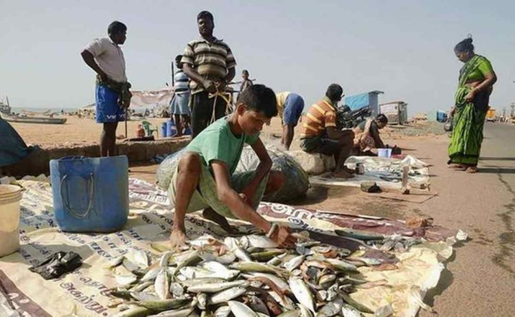 Ban on sale of fish by vendors on footpaths in Vizag