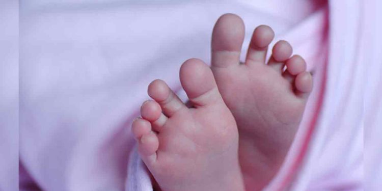 Infant girl found abandoned in the bushes in Visakhapatnam District