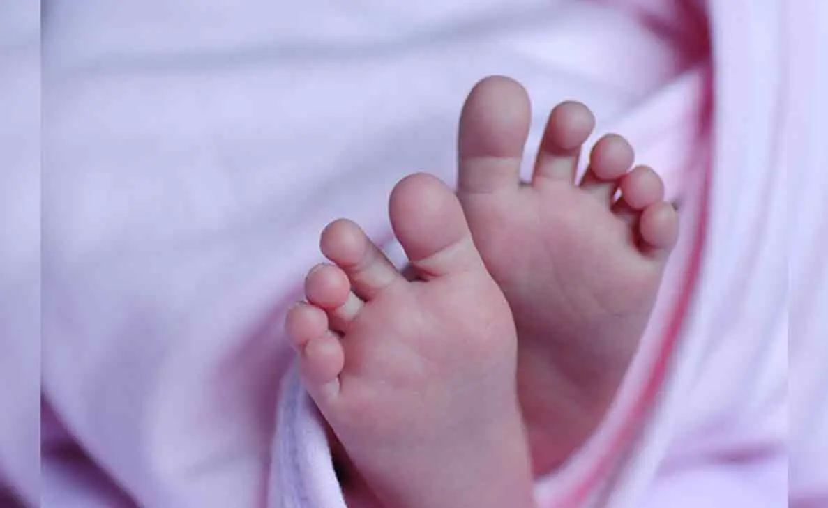 Infant girl found abandoned in the bushes in Visakhapatnam District