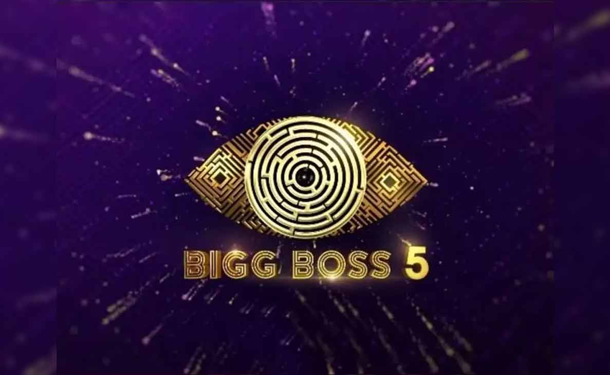 Bigg Boss 5 Telugu Elimination: Here is who got eliminated in the 9th week