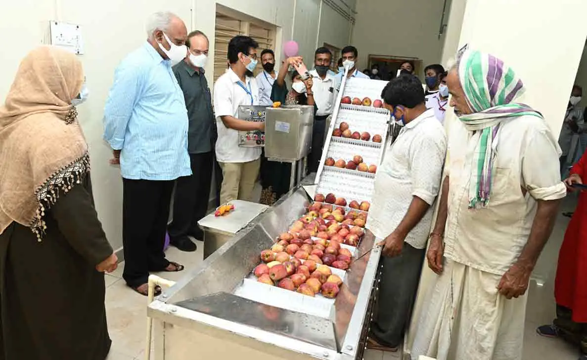 Fruit storage facility inaugurated at GITAM Vizag