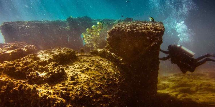 Scuba diving in Vizag: 5 best dive sites you must explore