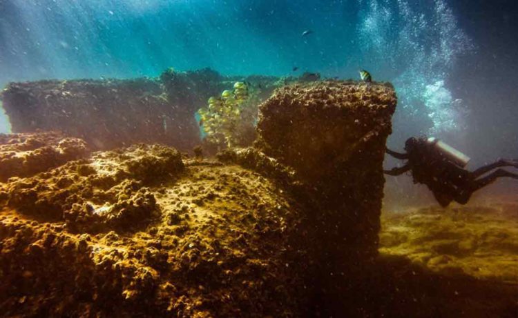 Scuba diving in Vizag: 5 best dive sites you must explore