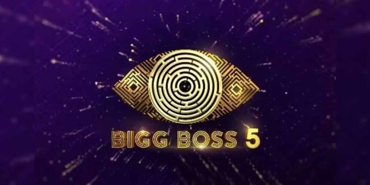 Bigg Boss Telugu Nominations: House Captain Shannu and Sunny escape nominations this week