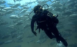 Scuba diving in Vizag: 5 magical dive sites you must explore