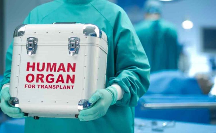 Organs airlifted from Vizag and Chandigarh; save 3 lives in Chennai