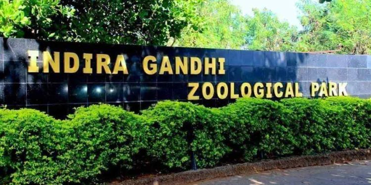 Indira Gandhi Zoological Park nominated as a member of the World Association of Zoos and Aquariums