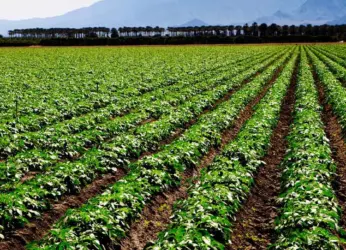 Good Governance Index 2021: Andhra Pradesh ranked #1 in Agriculture & Allied Sector Ranking
