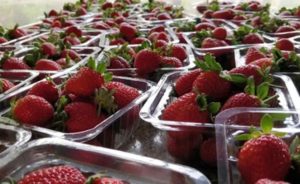 Shopping in Vizag: Strawberries