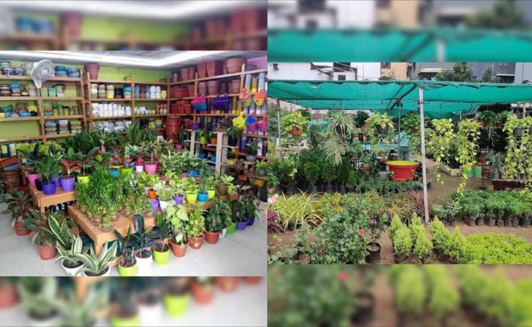 Plant nurseries in Vizag that gardening enthusiasts must visit
