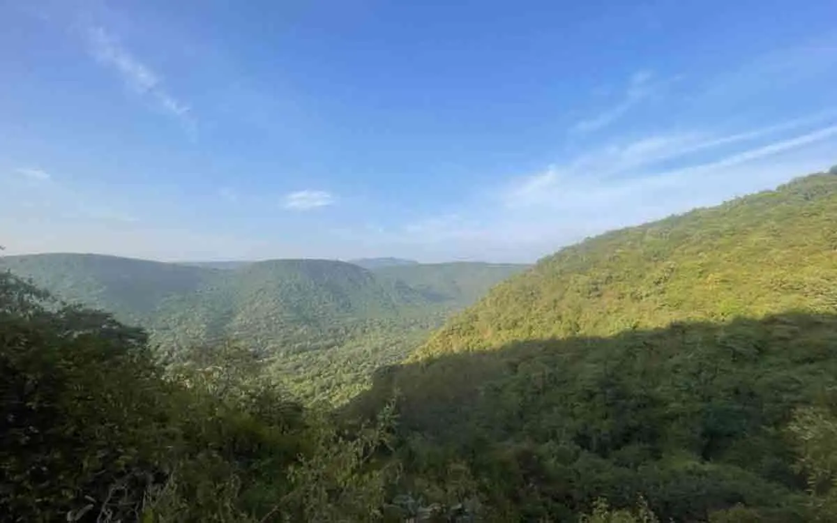 150 cameras to be installed by Forest Department at Kambalakonda for wildlife surveillance