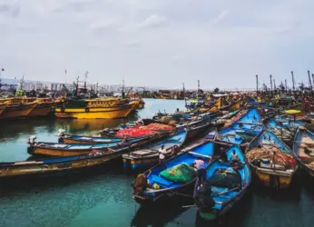 Parawada fisherman on hunt killed by a marlin fish mid-sea