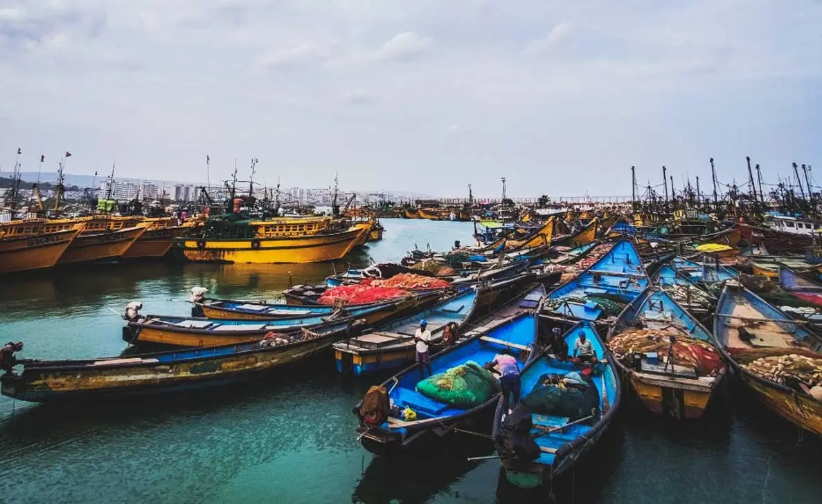 Parawada fisherman on hunt killed by a marlin fish mid-sea