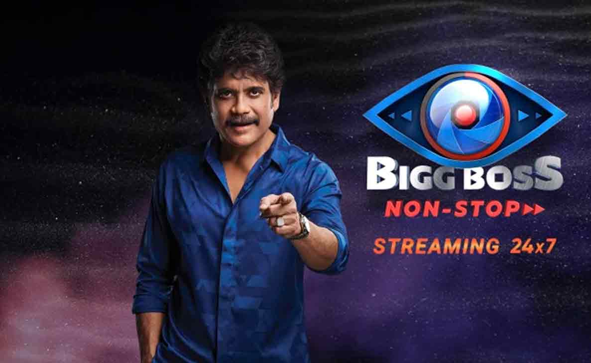Why was Sree Rapaka eliminated from Telugu Bigg Boss Non-Stop?
