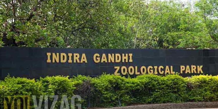 Indira Gandhi Zoo hosts fun activities to mark World Wildlife Day in Visakhapatnam