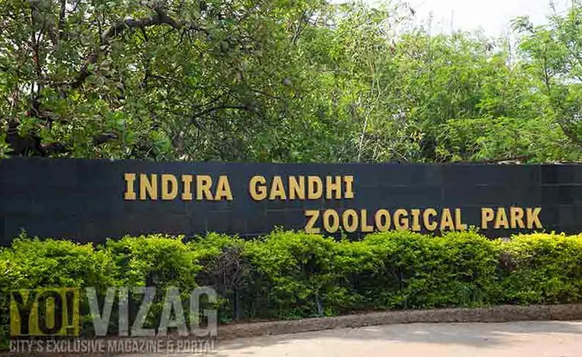 Indira Gandhi Zoo hosts fun activities to mark World Wildlife Day in Visakhapatnam