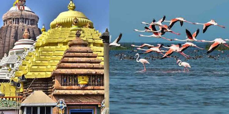 5 Must-visit places in Puri to have a splendid trip