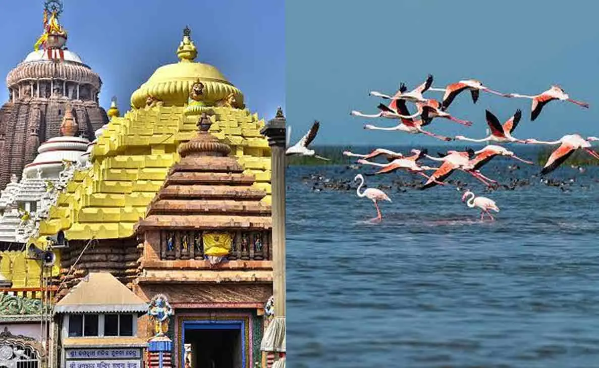 5 Must-visit places in Puri to have a splendid trip