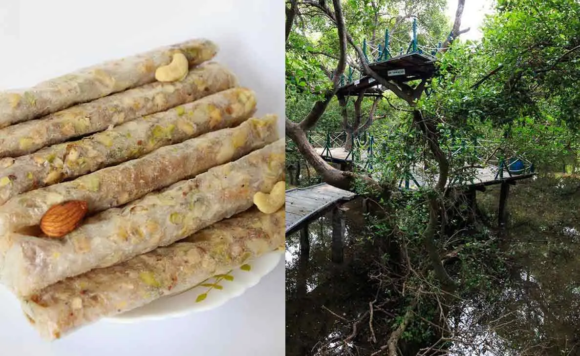 From feasting to sightseeing, a list of things to do in Amalapuram