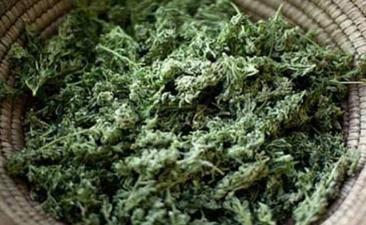 Lorry smuggling 2,280 kgs of ganja seized by Visakhapatnam Police